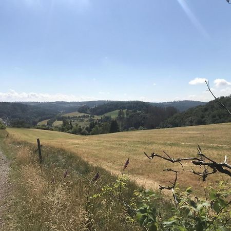 הוילה וילינגן Gluehalm Willingen מראה חיצוני תמונה