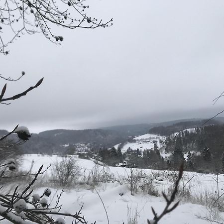 הוילה וילינגן Gluehalm Willingen מראה חיצוני תמונה