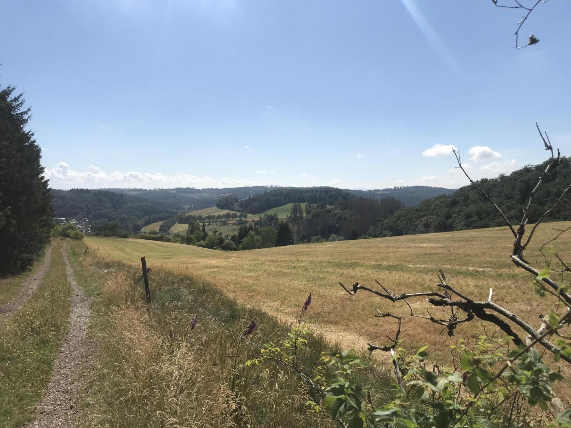 הוילה וילינגן Gluehalm Willingen מראה חיצוני תמונה